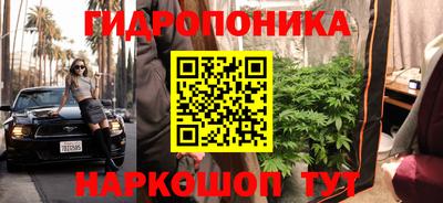 сатива Краснознаменск
