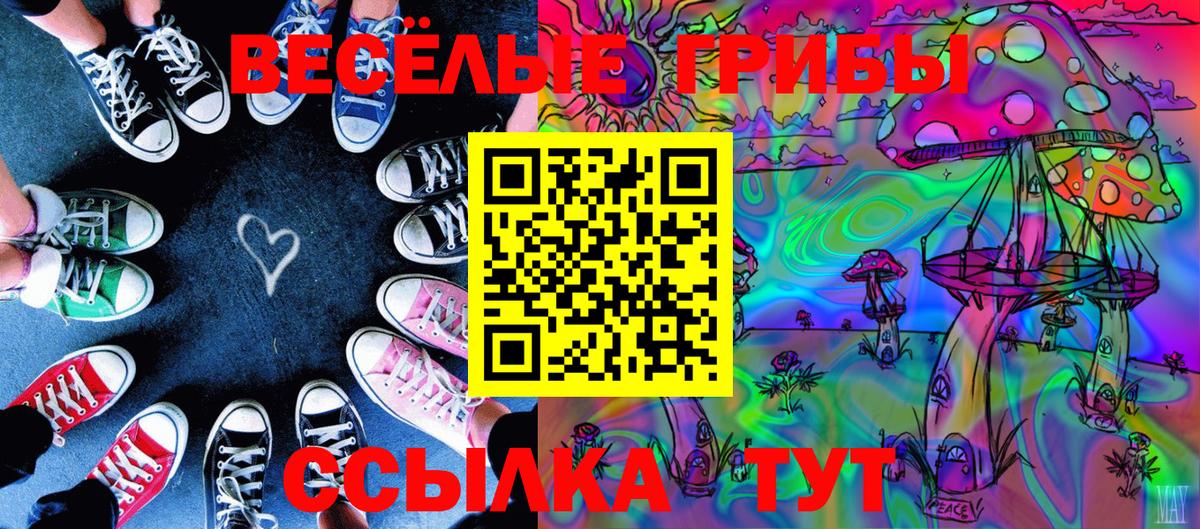 сколько стоит  Вход с VPN  Касимов  Галлюциногенные грибы MAGIC MUSHROOMS 